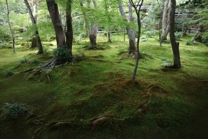 祇王寺(京都府)