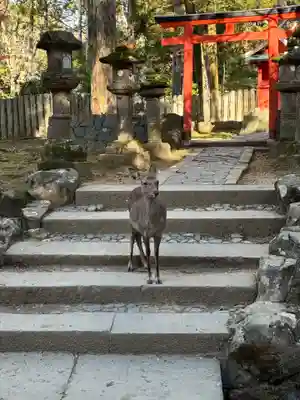 春日大社(奈良県)