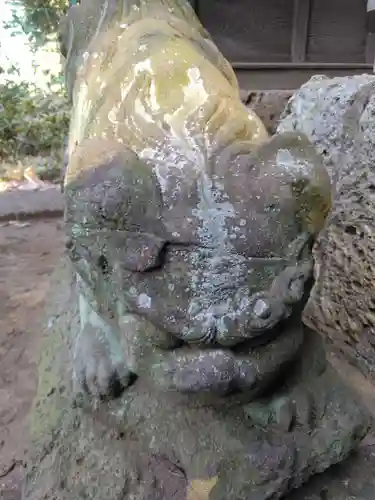 渋谷氷川神社(東京都)