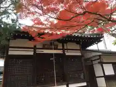 真正極楽寺（真如堂）の建物その他