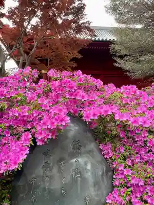 清水観音堂(東京都)