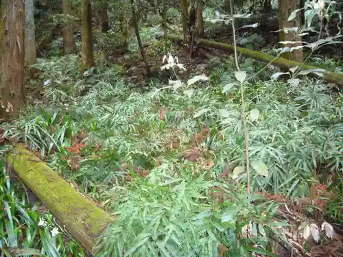  大岩山 最勝寺の周辺