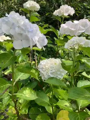 佛日庵(神奈川県)