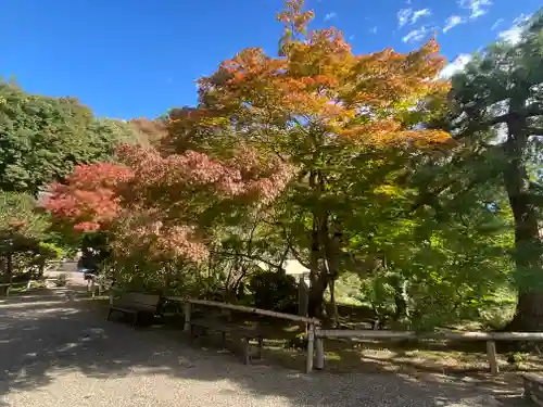 常楽寺(長野県)