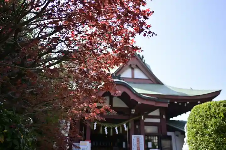 八幡八雲神社(東京都)