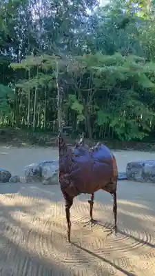 曹源寺(岡山県)