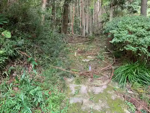 佐室浅野神社の自然