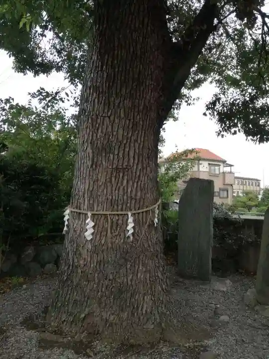 菖蒲神社の自然