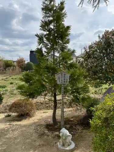 龍雲寺(大阪府)