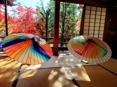 勝林寺(京都府)