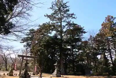 三春大神宮の景色