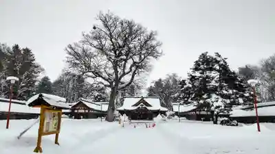 北海道護國神社の本殿・本堂