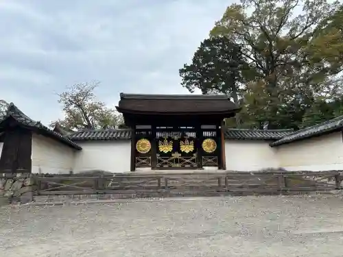醍醐寺の{uncategorized: "未分類", other: "その他", undefined: "問題あり", building: "その他建物", grave: "お墓", sacred_gate: "鳥居", guardian: "狛犬", statue: "像", buddha: "仏像", history: "歴史", nature: "自然", garden: "庭園", animal: "動物", pagoda: "塔", temizu: "手水舎", mountain_gate: "山門・神門", sanctuary: "本殿・本堂", subordinate: "末社・摂社", art: "芸術", scenery: "景色", jizo: "地蔵", ema: "絵馬", goshuin: "御朱印", omikuji: "おみくじ", items: "授与品その他", amulet: "お守り", goshuincho: "御朱印帳", eats: "食事", festival: "お祭り", votive_dance: "神楽", shichigosan: "七五三参", wedding: "結婚式", experience: "体験その他", initially: "初詣", around: "周辺", anti_infection: "感染症対策"}