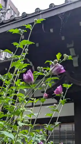 瑞泉寺(京都府)