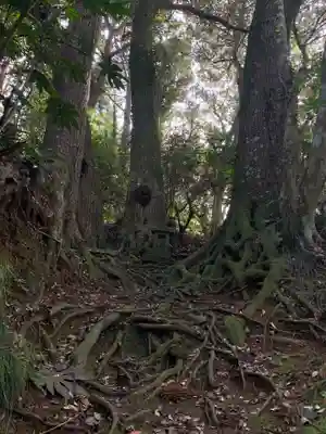 玉田神社(千葉県)