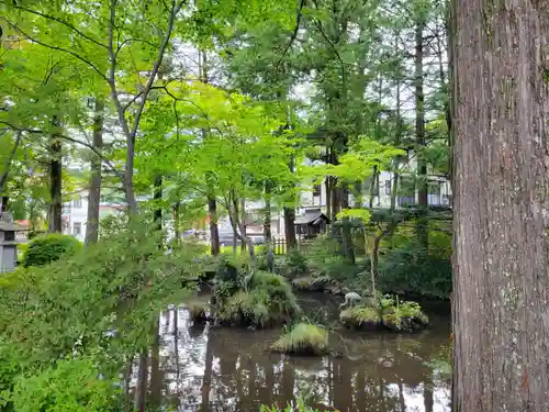 諏訪大社下社秋宮の自然