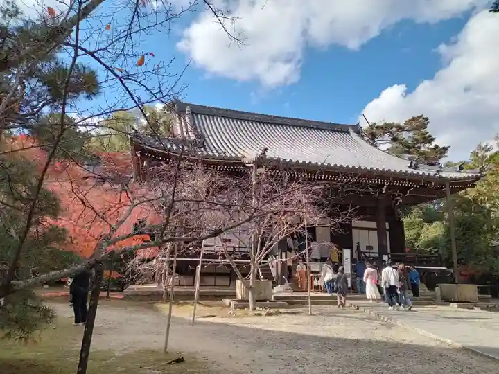 光明寺(粟生光明寺)(京都府)