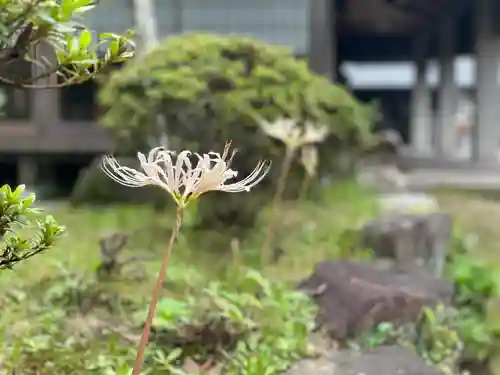 伊勢の国 四天王寺の自然