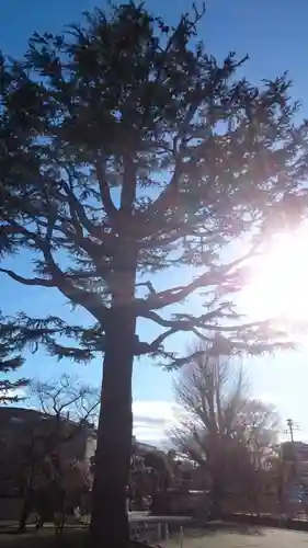 寛永寺(根本中堂)(東京都)