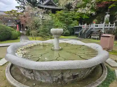 慈尊院(和歌山県)