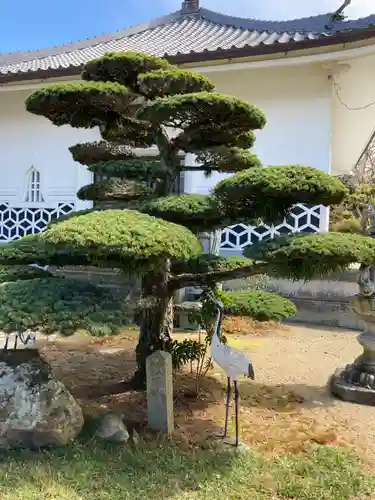 宝持院の庭園