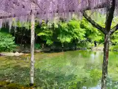 富士山本宮浅間大社の庭園