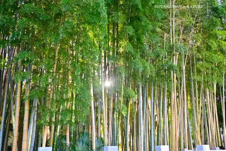 不知森神社(千葉県)