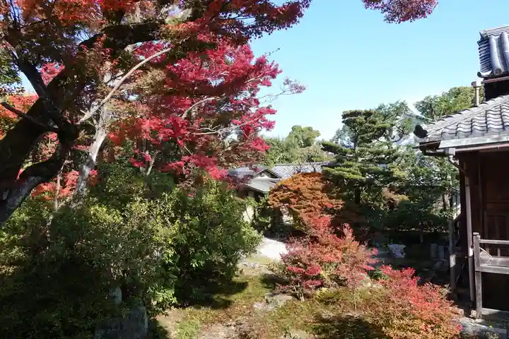 宝筐院(京都府)