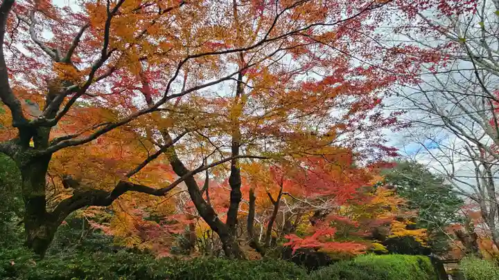 法輪寺(京都府)