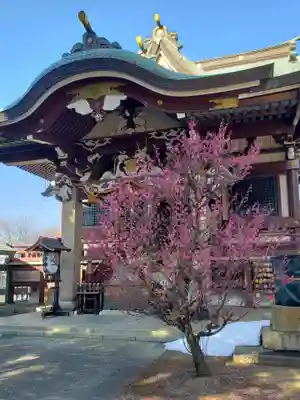 諏訪神社(東京都)