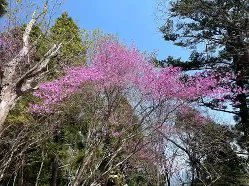 月輪寺(京都府)
