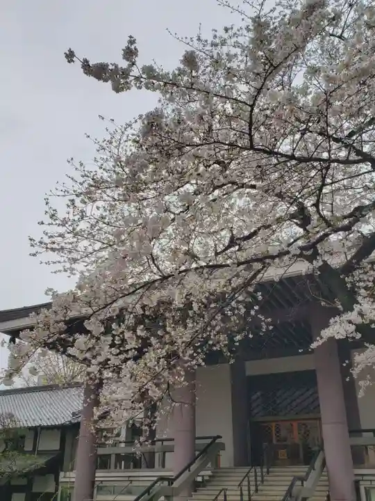 常圓寺(東京都)