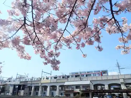 瑞延寺の御朱印