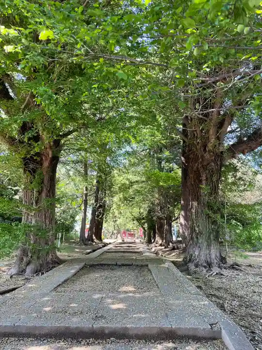 三芳野神社(埼玉県)