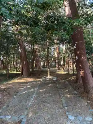 冨士浅間宮(静岡県)