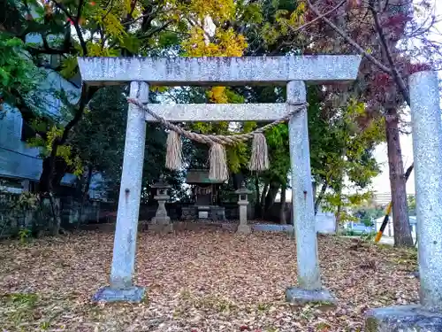 白鬚神社の鳥居