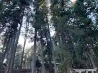 大宮温泉神社(栃木県)