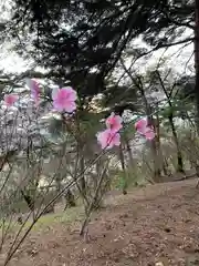 烏森神社の自然