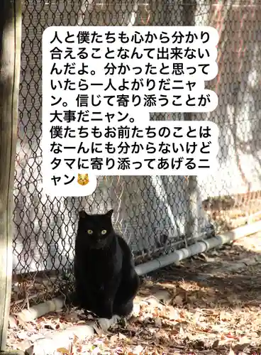 専念寺(大阪府)