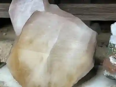 川津来宮神社(静岡県)