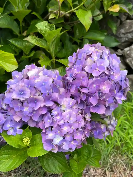 法船寺(長野県)