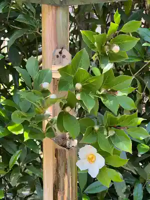 明月院(神奈川県)