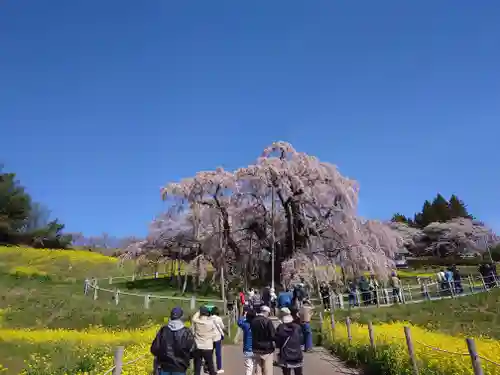 瀧桜神明宮(福島県)