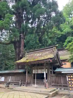 若狭姫神社（若狭彦神社下社）(福井県)