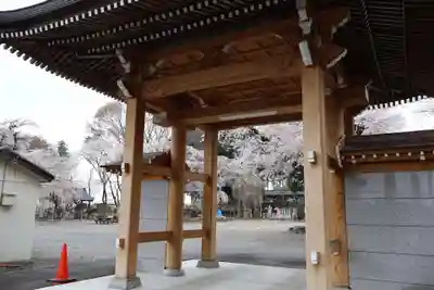 崇真寺(開運犬り切不動尊)(栃木県)