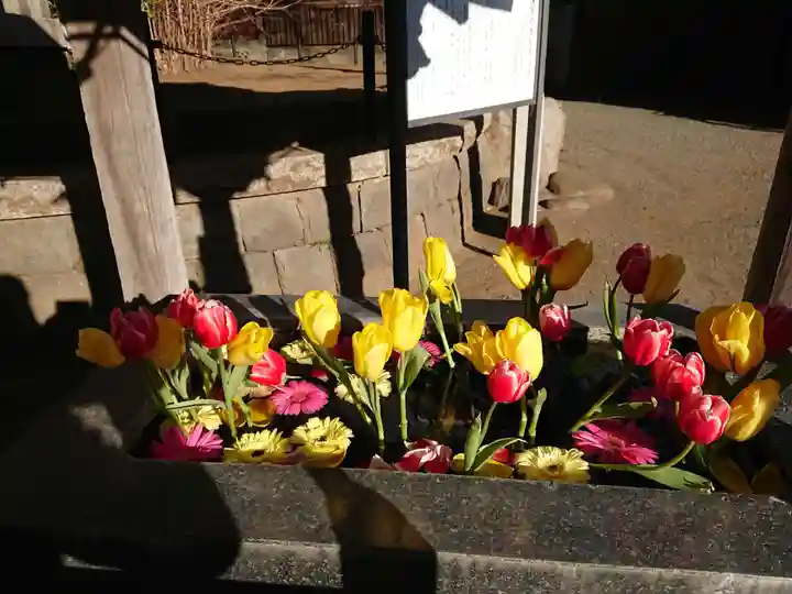 鶴嶺八幡宮の手水舎