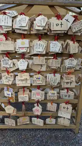 北海道神宮の絵馬