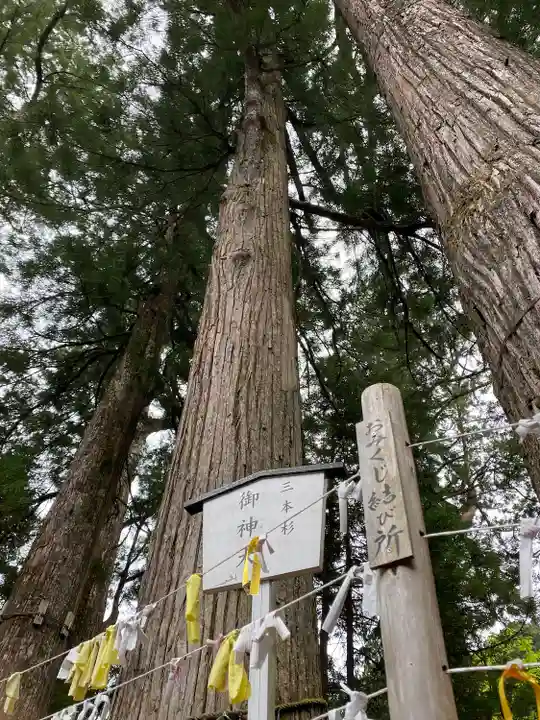 日光二荒山神社の自然