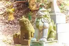 鹿島天足別神社の狛犬