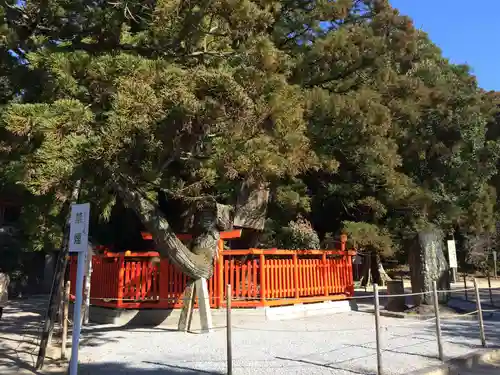 香椎宮の御朱印